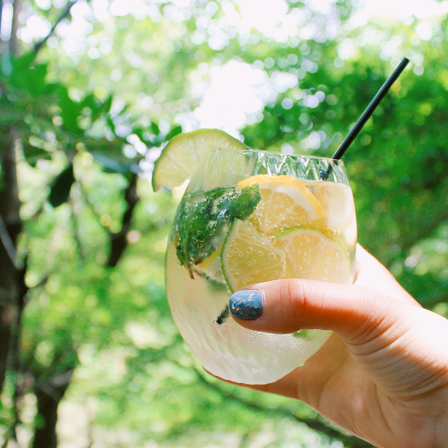 ザ・ビアー:likka リッカ