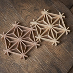Asanoha Mark  Coaster