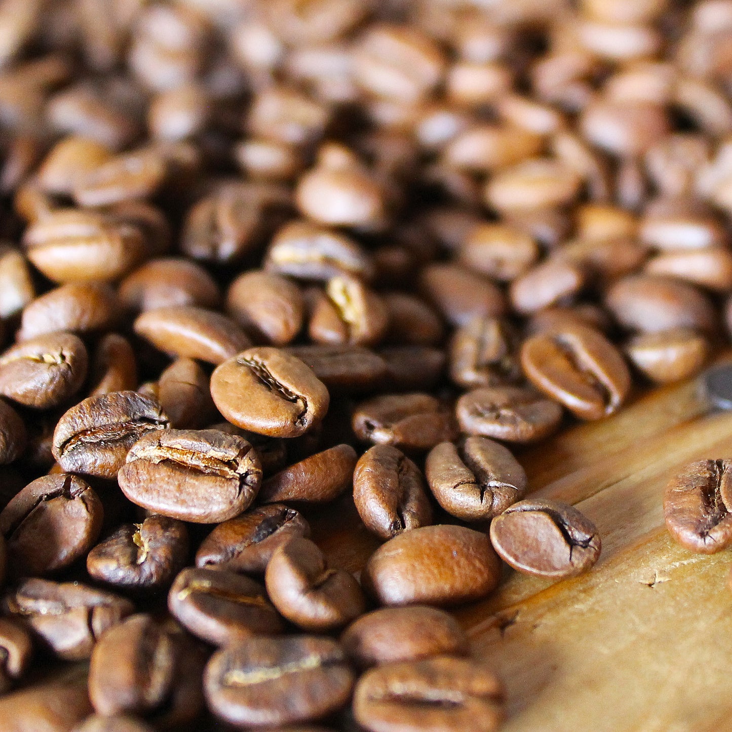 Vermillion House Blend Coffee Beans