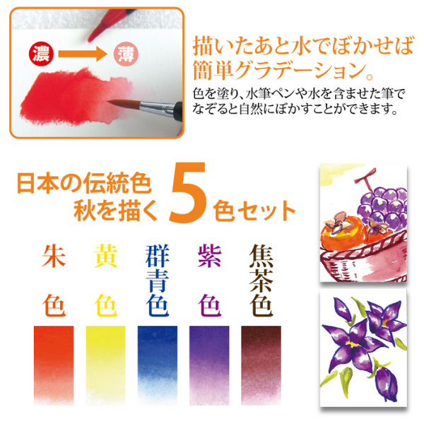 SAI Coloring Brush Pen 5 Color Set