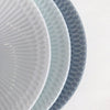 Sazanami 21cm Deep plate