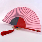 Multicolored Fan